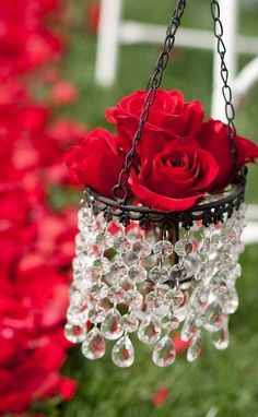 Regalar rosas a domicilio