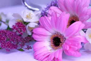 Ramo Flores Viena, Floristerías en Vigo, Ramo Blanco para Regalar, Flores en Vigo, Arreglos Florales, Comprar Flores Online