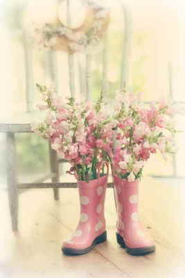 Comprar Centro de Flores Online, Floristería de Vigo, Flores y Cestas de Frutas para Regalar, Regalar Flores en Vigo, Enviar Flores en Vigo