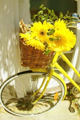 Comprar Centro de Flores Online, Floristería de Vigo, Flores y Cestas de Frutas para Regalar, Regalar Flores en Vigo, Enviar Flores en Vigo